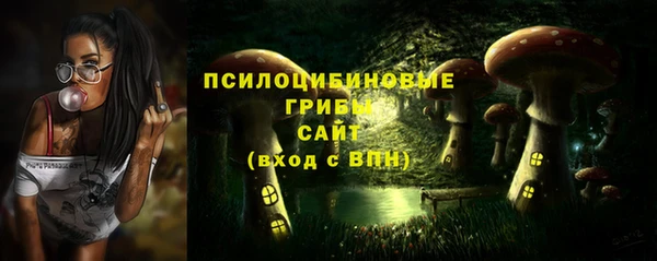 не бодяженный Белокуриха